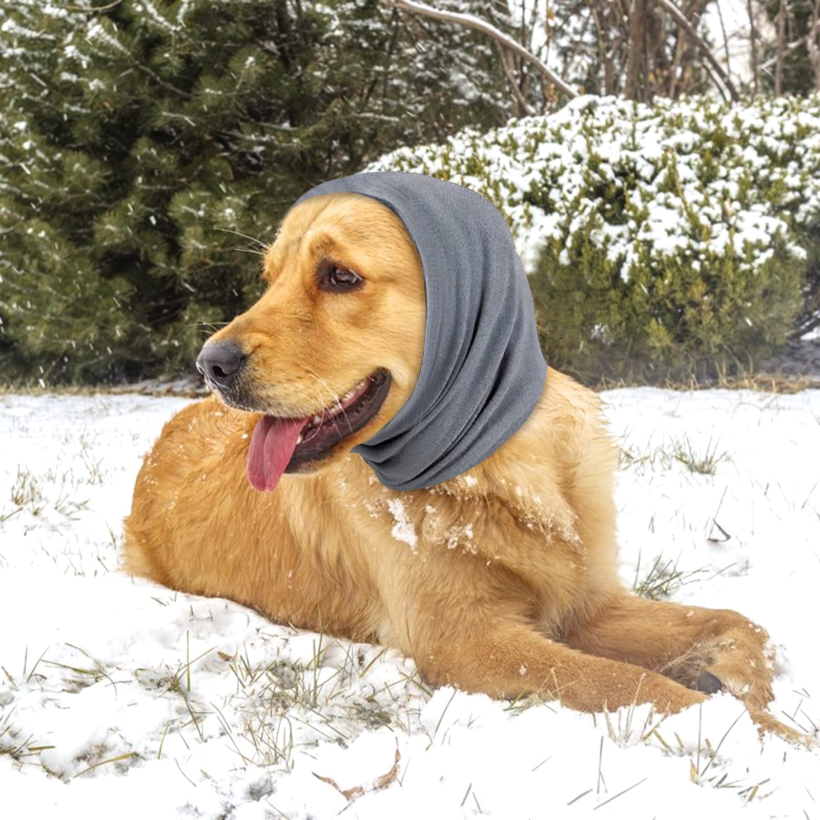 Amazon.com : Dog Hat Hoodie, Winter Warm Dog Hat, Ear Wrap, for